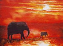 Afrika